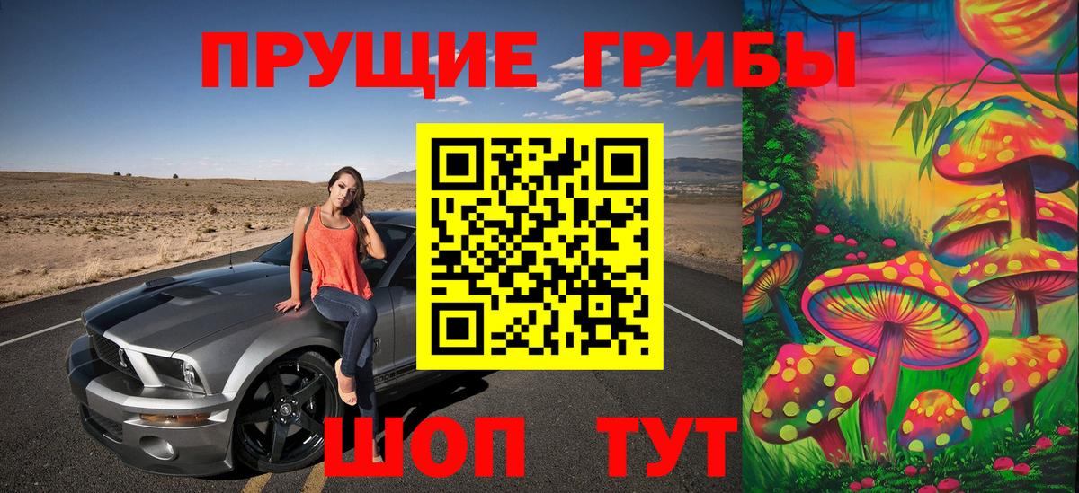 Томск  Псилоцибиновые грибы MAGIC MUSHROOMS  Вход с VPN 